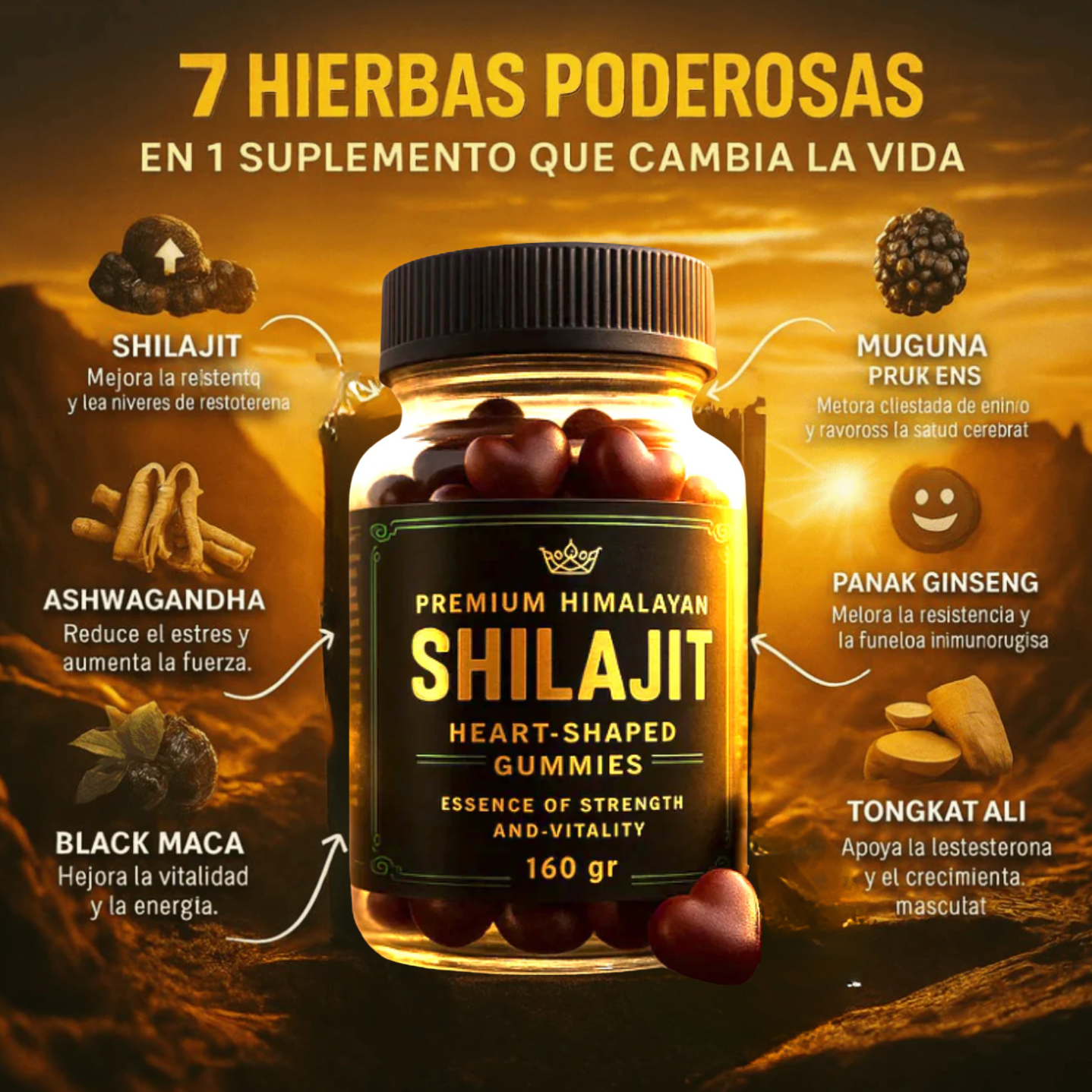 Body Wise | Gominolas de Shilajit Puro